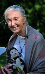 jane goodall